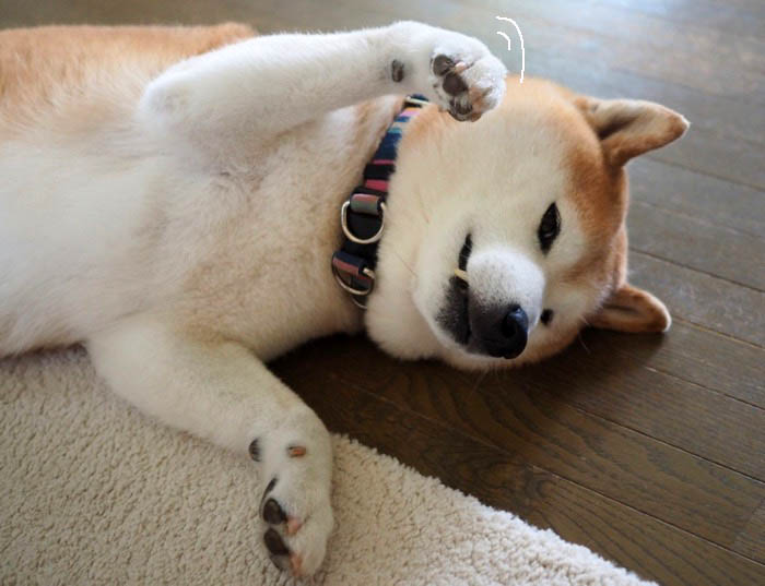 14日夜ブログ２
