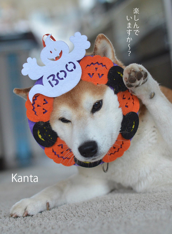 30日ブログ2
