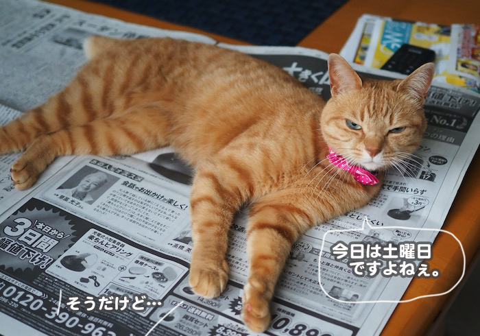 22日ブログ３