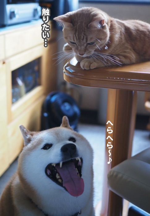 2日夕ブログ５