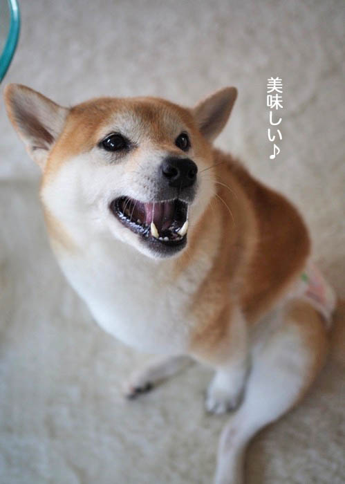 6日夜ブログ１