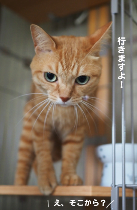 16日夕ブログ５