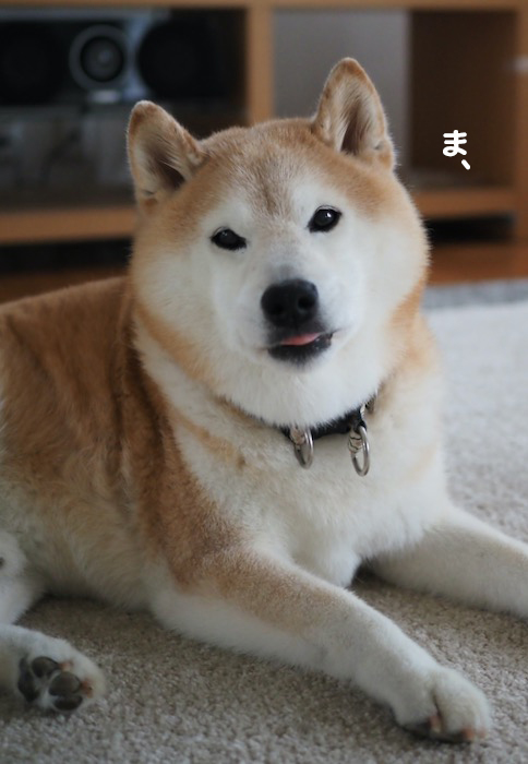21日夜ブログ３