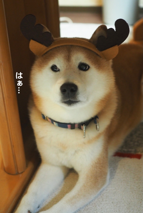 30日ブログ３