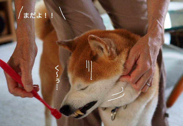 17日午後ブログ6
