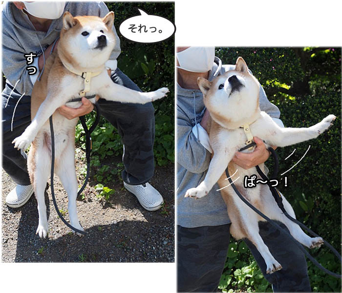 23日午後ブログ３
