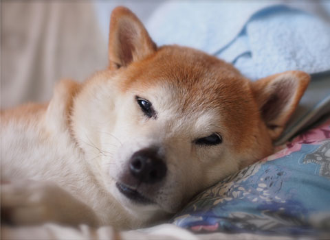 29日ブログ8.jpg