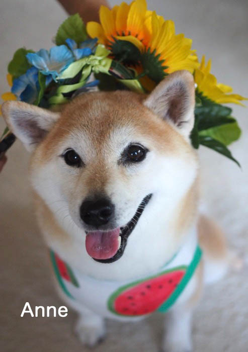 2日ブログ３