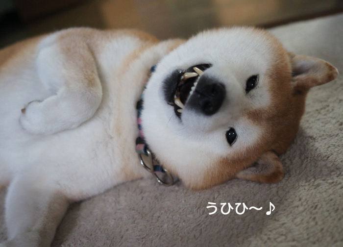 17日夜ブログ３