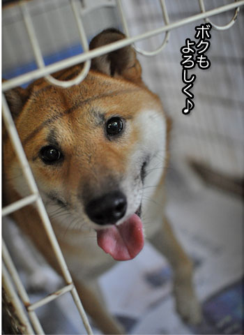 28日ブログ11.jpg