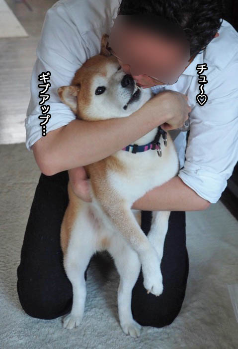 18日ブログ９