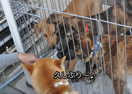 4日ブログ13.jpg