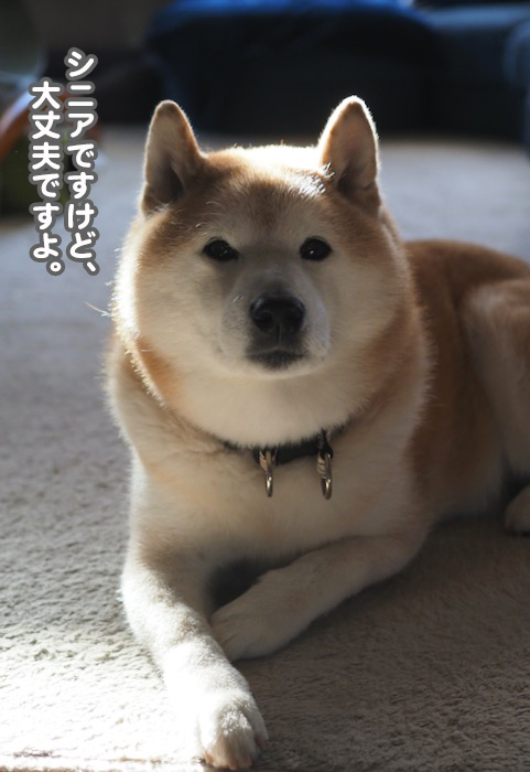 18日夕ブログ６