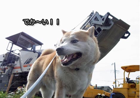 28日ブログ5.jpg