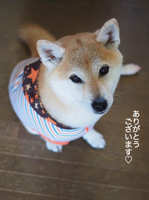 18日ブログ２