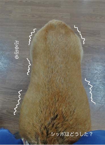 21日ブログ6.jpg