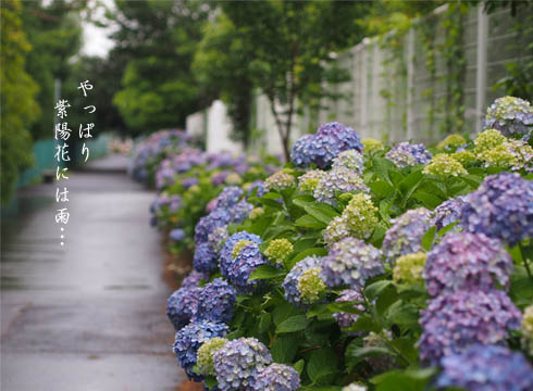 20日ブログ1.jpg