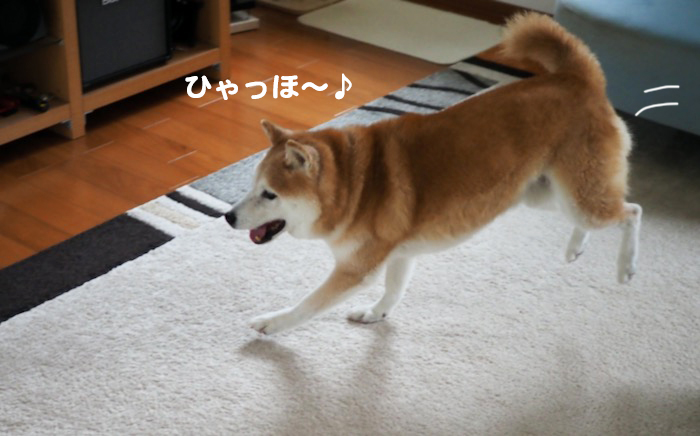 29日夕ブログ２