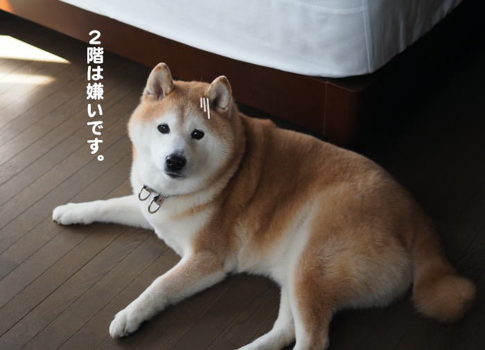11日ブログ２