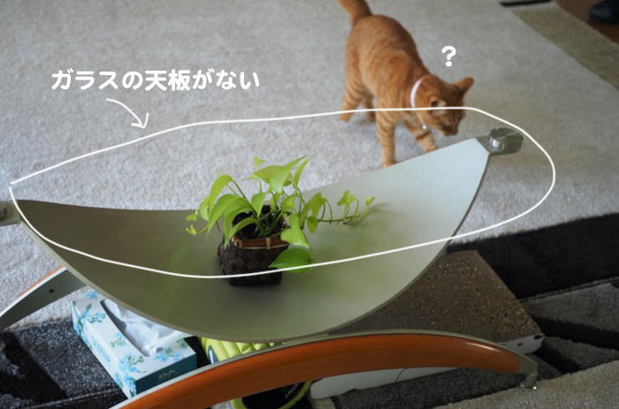 17日夜ブログ３