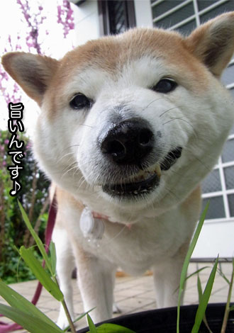 24日ブログ5.jpg