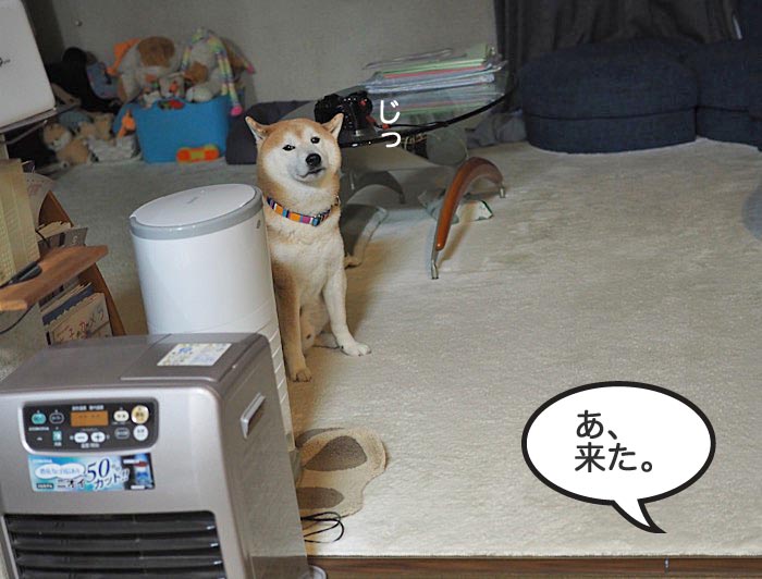 31日ブログ２