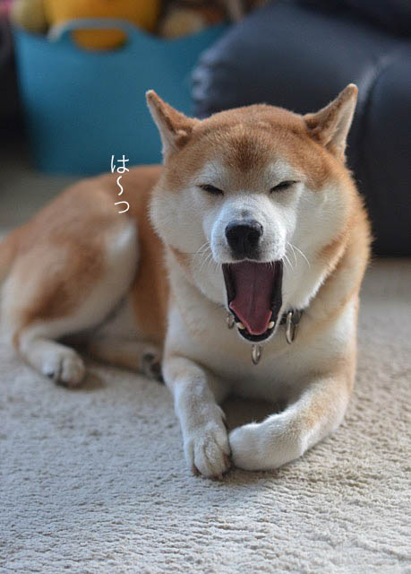 3日ブログ10