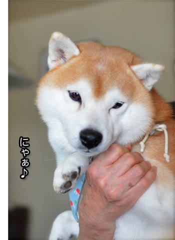 29日ブログ8.jpg