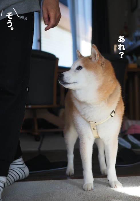 16日ブログ４