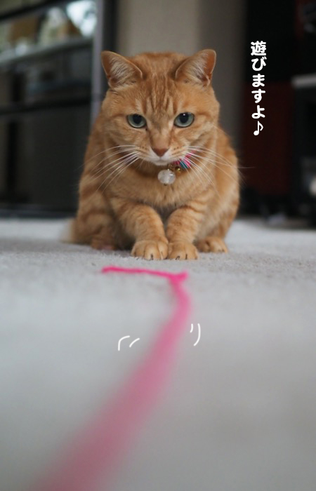 10日夕ブログ３