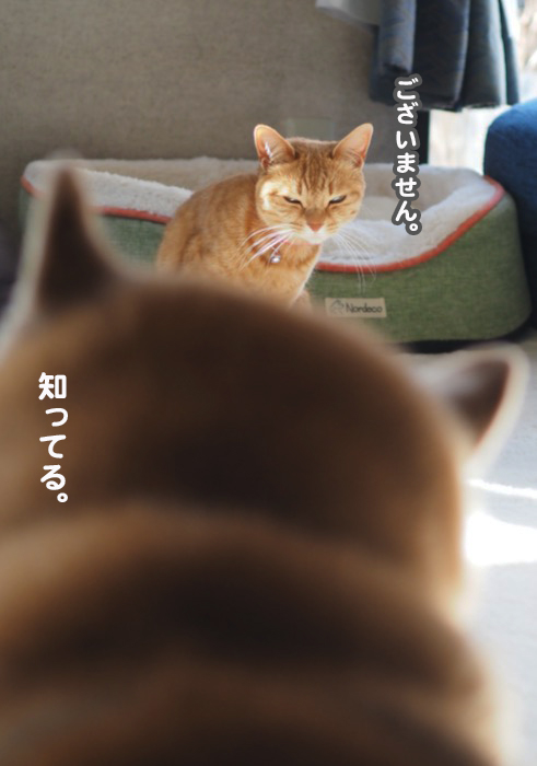 25日ブログ４