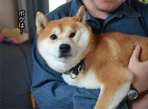 16日ブログ13.jpg
