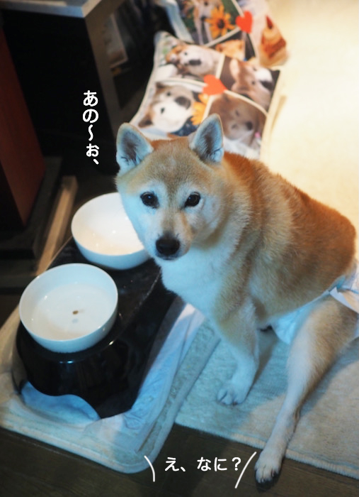 30日夜ブログ２