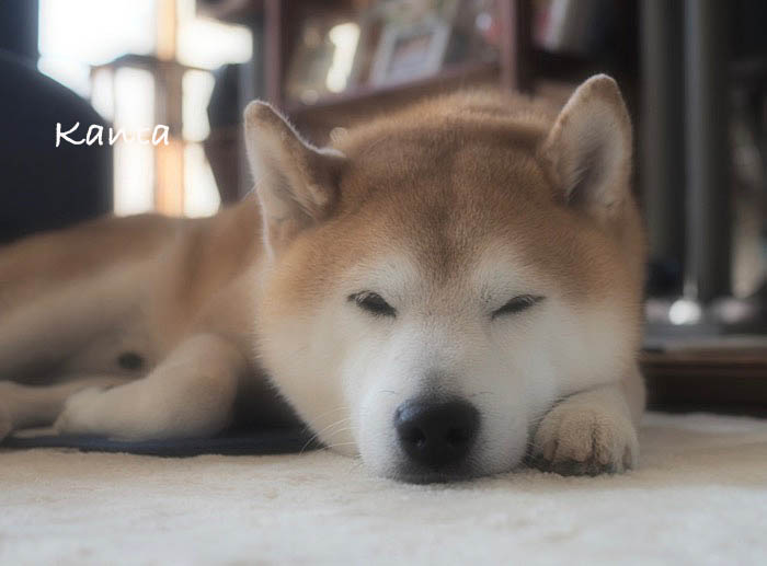 12日ブログ６