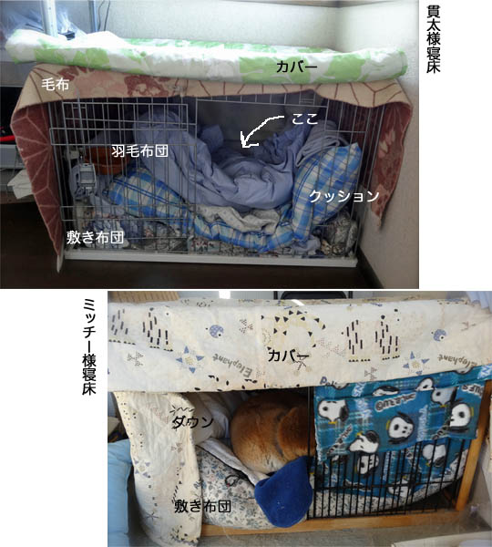 10日ブログ5.jpg