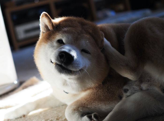 13日ブログ１