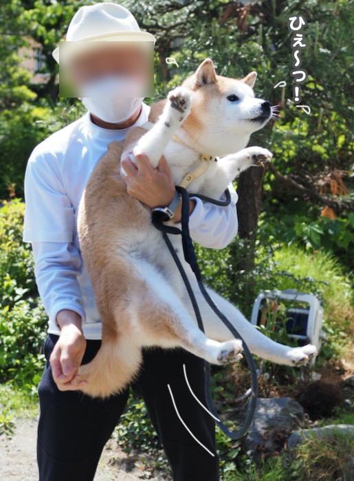 10日ブログ４