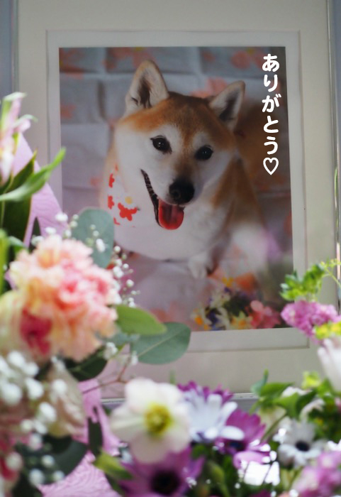 13日夕ブログ１０