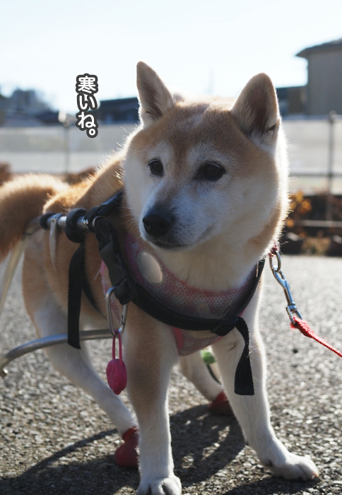 29日ブログ２