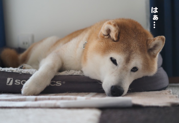 6日ブログ５