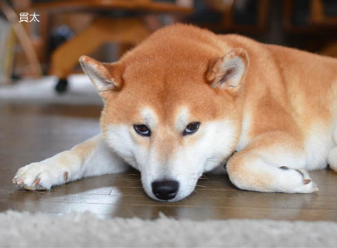 29日ブログ6.jpg