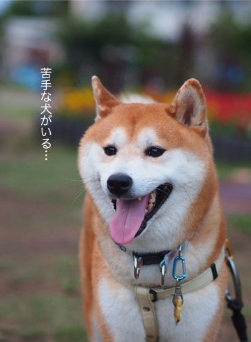 27日ブログ4.jpg