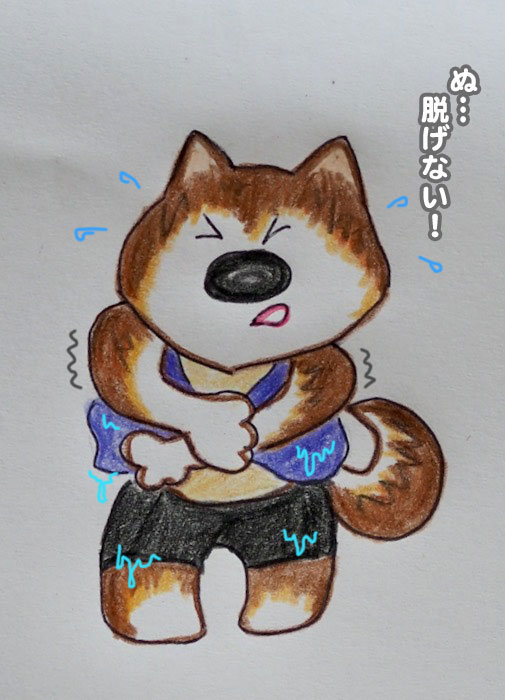 11日夕ブログ6