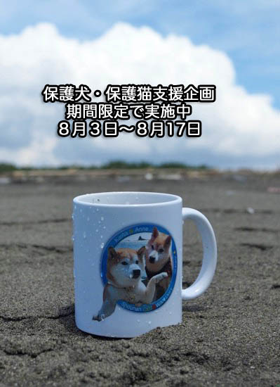 7日夕ブログ７