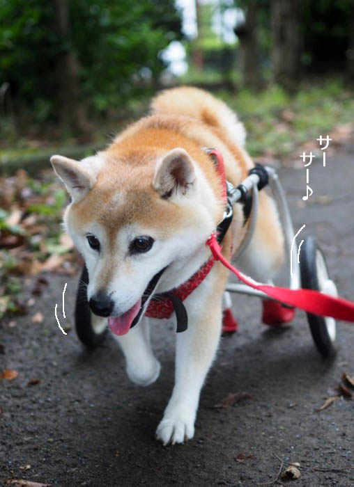14日夜ブログ２