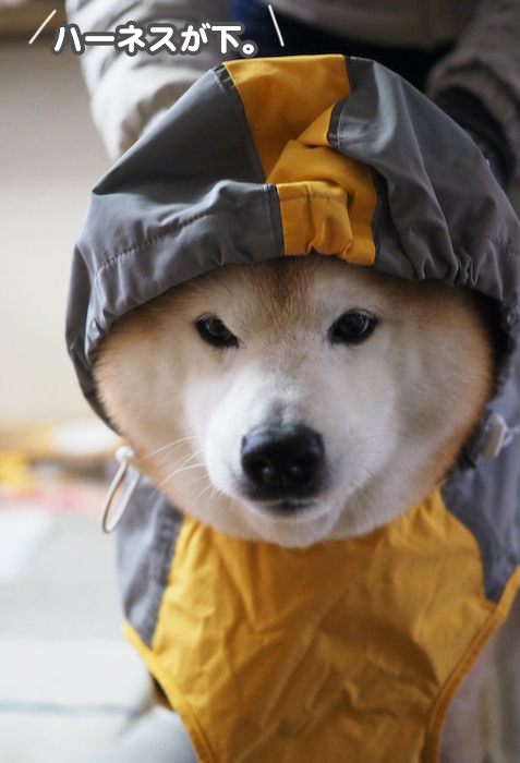 3日夜ブログ４