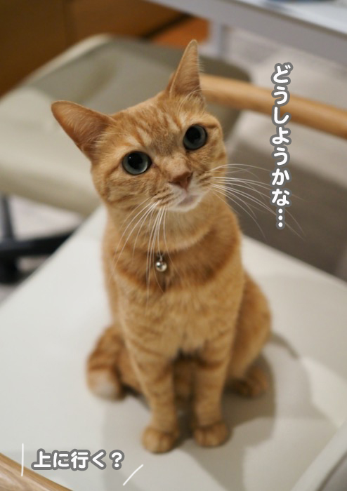 18日の夕ブログ3