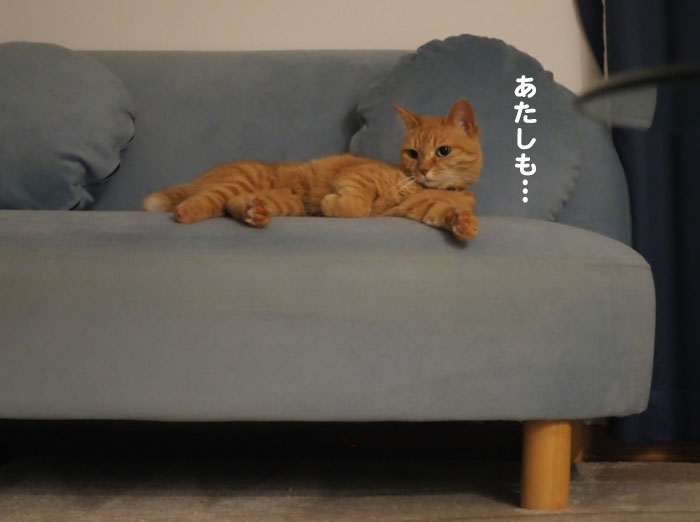 13日夕ブログ３