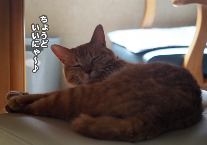 13日夕ブログ２