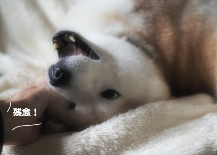 23日ブログ４